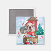 英国のブルドッグで雪のクリスマスドッグハウス マグネット (正面/裏面)
