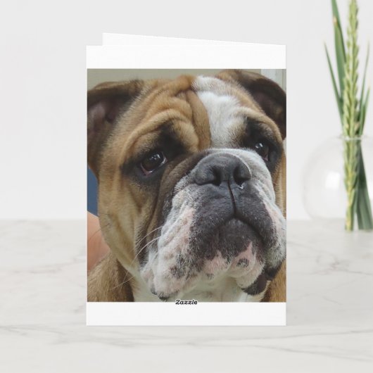英国のブルドッグのおもしろいなハッピーバースデーカード カード (裏面)