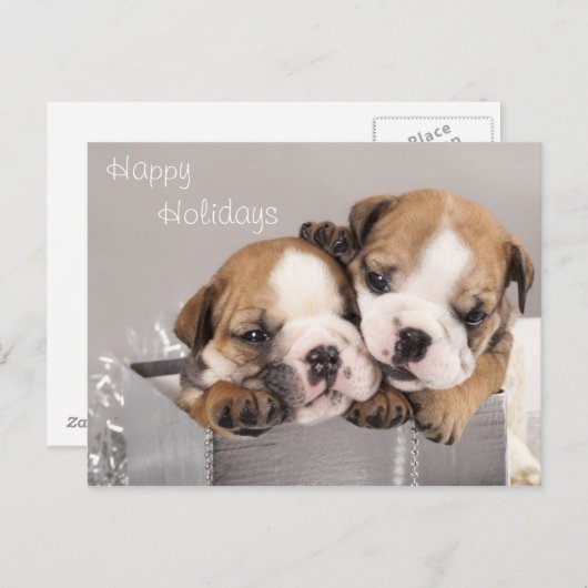 英国のブルドッグの子犬およびギフト シーズンポストカード (正面/裏面)