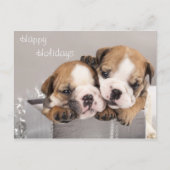 英国のブルドッグの子犬およびギフト シーズンポストカード (正面)