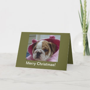 英国のブルドッグの子犬のクリスマスカード シーズンカード