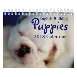英国のブルドッグの子犬2018のカレンダー カレンダー