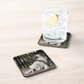 英国のブルドッグの子犬 コースター (右側)