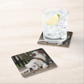 英国のブルドッグの子犬 スクエアペーパーコースター (インサイチュ)