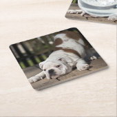 英国のブルドッグの子犬 スクエアペーパーコースター (アングル)