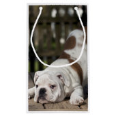 英国のブルドッグの子犬 スモールペーパーバッグ (裏面)