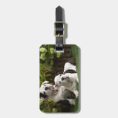 英国のブルドッグの子犬 ラゲッジタグ (正面縦)