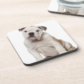 英国のブルドッグの子犬(2か月古い) コースター (左側)