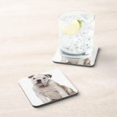 英国のブルドッグの子犬(2か月古い) コースター (右側)