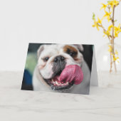 英国のブルドッグの挨拶状 カード (黄色い花)