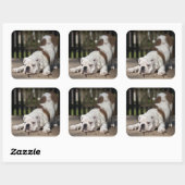 英国のブルドッグパピー スクエアシール (シート)