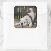 英国のブルドッグパピー スクエアシール (バッグ)