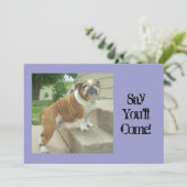 英国のブルドッグパーティの招待状 招待状 (スタンド正面)