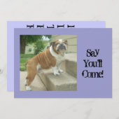 英国のブルドッグパーティの招待状 招待状 (正面/裏面)