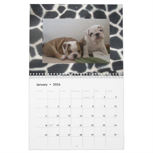 英国のブルドッグ及び子犬のカレンダー! カレンダー (1月 2026)