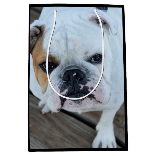 英国のブルドッグ犬のギフトバッグ ミディアムペーパーバッグ (正面)