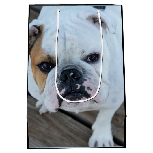 英国のブルドッグ犬のギフトバッグ ミディアムペーパーバッグ (裏面)