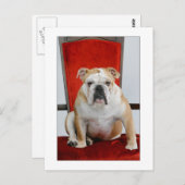 英国のブルドッグ王位 ポストカード (正面/裏面)