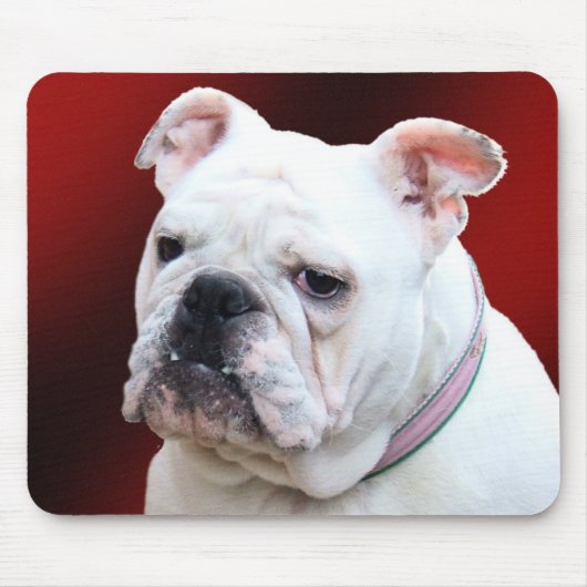 英国のブルドッグ2のmousepad マウスパッド (正面)