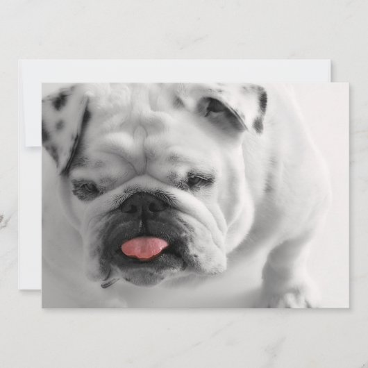 英国のブルドッグ·ワンピー 招待状 (正面)