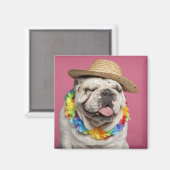 英国のブルドッグ（18カ月）はストローを着ている マグネット (正面/裏面)