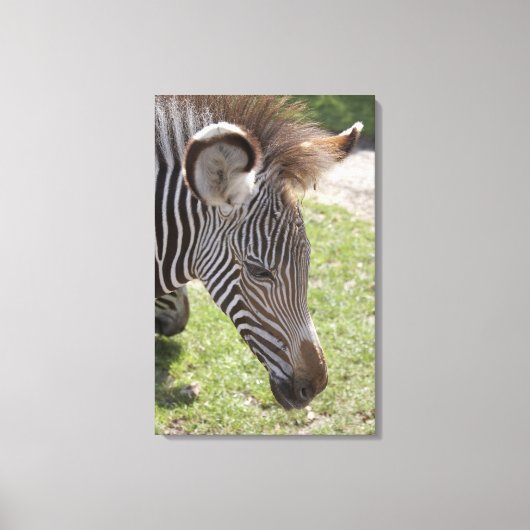 英国のベッドフォードシャー キャンバスプリント (正面)