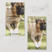 英国のマスティフ犬の名刺 名刺 (正面/裏面)