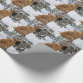 英国のマスティフ犬の"雪の姿勢"の写真 ラッピングペーパー (角)