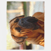 英国のマスティフ フリースブランケット (正面)