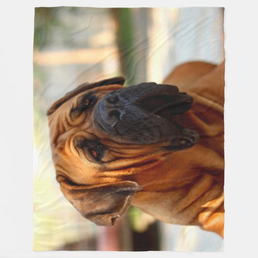 英国のマスティフ フリースブランケット (正面)