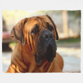 英国のマスティフ フリースブランケット (正面(横))