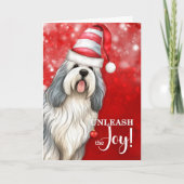 英国の牧羊犬がクリスマスに喜びを解き放つ シーズンカード (正面)