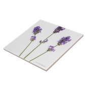 英国の紫色のラベンダーの花の3つの茎、 タイル (側面)