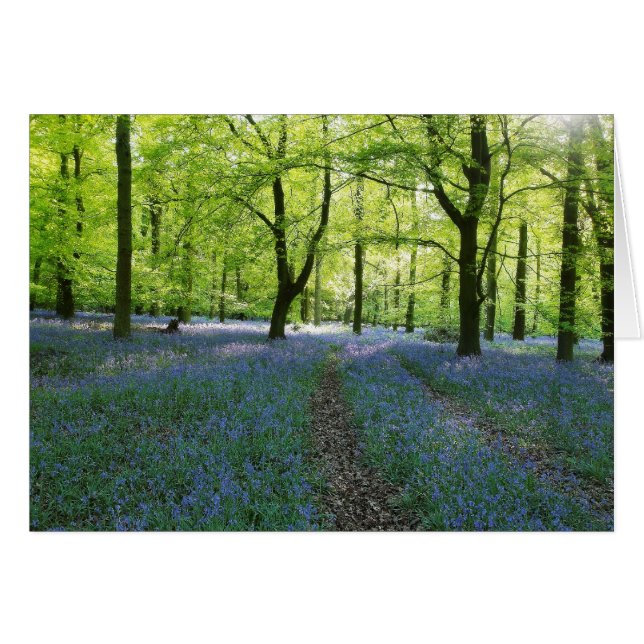 英国のBluebells (正面横)