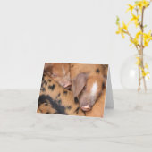 英国オックスフォードサンディ＆ブラック かわいいリトルピギー カード (黄色い花)