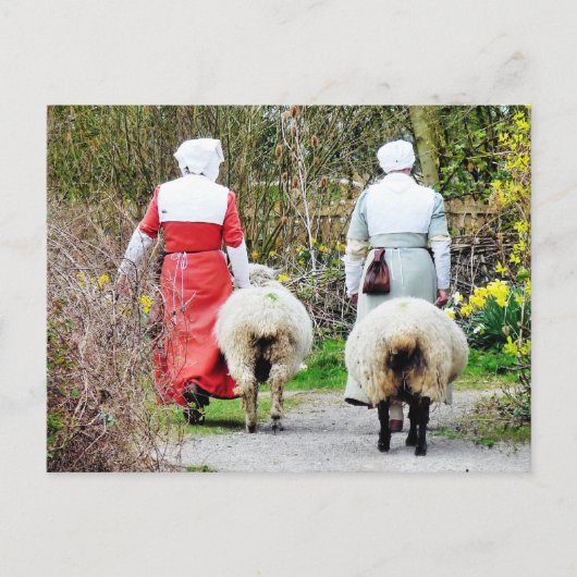 英国オールドイングランド ポストカード (正面)