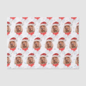 英国コッカースパニエル犬犬はクリスマスを育てる 薄葉紙 (正面)