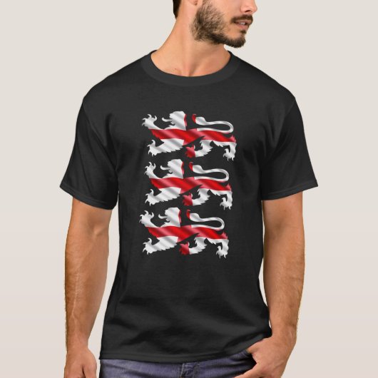 英国サッカー国際的チーム英国ライオンズ Tシャツ (正面)