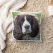 英国スプリンガーspaniel.png クッション (ブランケット)