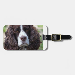 英国スプリンガーspaniel.png ラゲッジタグ