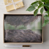 英国スプリンガーspaniel.png 薄葉紙 (ギフト)