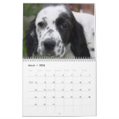 英国セッターのカレンダー カレンダー (3月 2026)