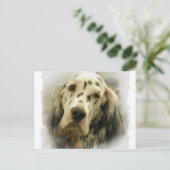 英国セッターハガキ ポストカード (スタンド正面)