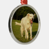 英国セッター メタルオーナメント (右)