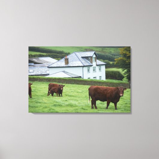 英国デボン キャンバスプリント (正面)