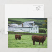 英国デボン ポストカード (正面/裏面)