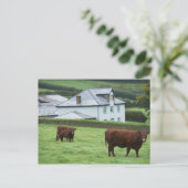 英国デボン ポストカード (スタンド正面)