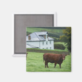 英国デボン マグネット (正面/裏面)