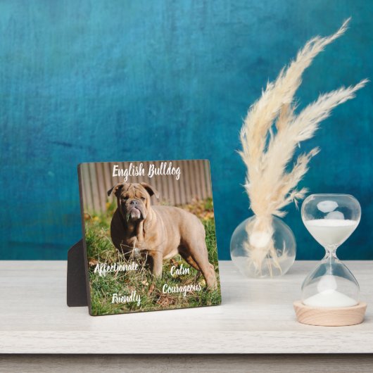 英国ブルドッグのイーゼル付きプラーク フォトプラーク (インサイチュ)