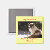 英国ブルドッグレスキューカスタマイズ網 –  マグネット (正面/裏面)